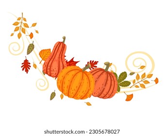 Orange pumpkins seasonal vegetable vector illustration on white background