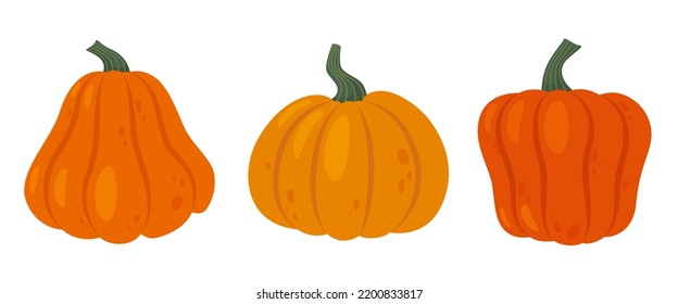 Orange pumpkins set. Autumn harvest of vegetables. Vegetarian food. Local farm harvest market. Thanksgiving flat style vector illustration