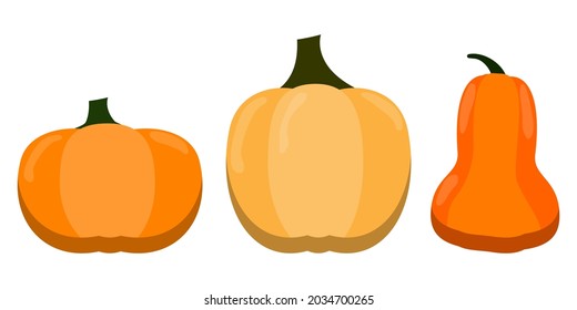 Orange pumpkins set. Thanksgiving day symbol. Holiday time. October vegetable. Vector illustration. Stock image.