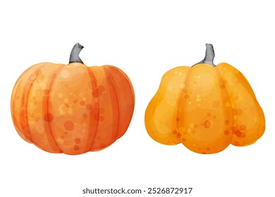 Orange pumpkins. Vector cute pumpkin illustration