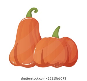 orange pumpkins vector illustration flat style autumn harvest thanksgiving seasonal design isolated on a white background