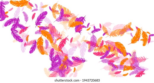 Orange purple red feather floating vector background. Falling down bird plumage pattern. Abstract fluffy soft plumage, feather floating  isolated. Close up graphic design. Airy boa hackle.