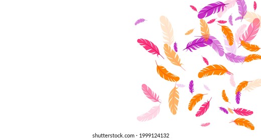 Orange purple red feather floating vector background. Falling bird plumage illustration. Flamingo plumage, feather floating  silhouettes. Macro graphic design. Bright boa hackle.