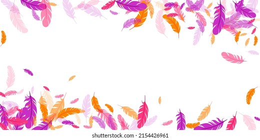 Orange purple red feather floating vector background. Falling down bird plumage pattern. Colorful fluffy soft plumage, feather floating  silhouettes. Close up graphic design. Airy boa hackle.