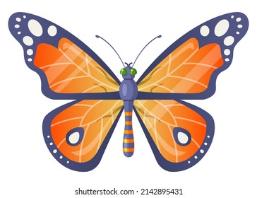 mariposa naranja realista. insecto de primavera. ilustración vectorial plana.