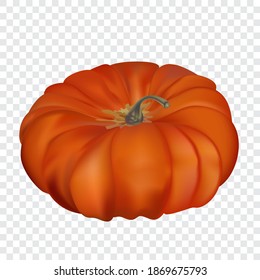 
Orange realistic flat pumpkin vegetable, on transparent geometric background