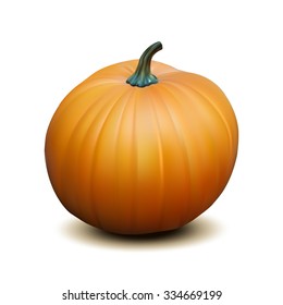 Orange realistic pumpkin isolated on white background, Harvest Thanksgiving symbol. Vector illustration