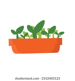 Una maceta rectangular naranja con varias plántulas verdes en diferentes etapas de crecimiento. es ideal para temas de jardinería, crecimiento y naturaleza