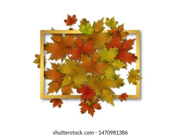 Orange and red fall design element with maple leaves and seeds