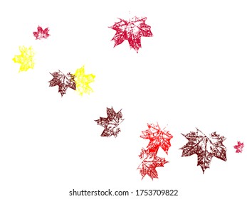 Orange and red fall design element with maple leaves and seeds Symbol of Canada. Cool tree foliage september background graphics.