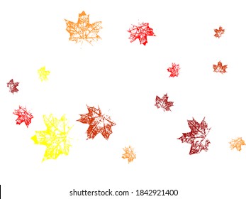 Orange and red fall design element with maple leaves and seeds Falling red leaves for Canada Day 1st July. Vector illustration.