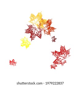 Orange and red fall design element with maple leaves and seeds Canadian symbol maple red orange yellow dry autumn leaves. Vector illustration.