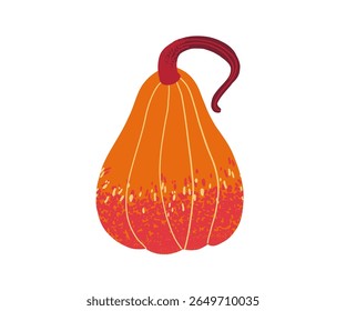 Orange and red ornamental gourd with curved stem, isolated on white background