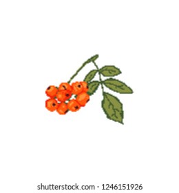 Orange red rowan on a branch with leaves. Pixel art. Merry Cristmas. Symbol of the New Year 2019.