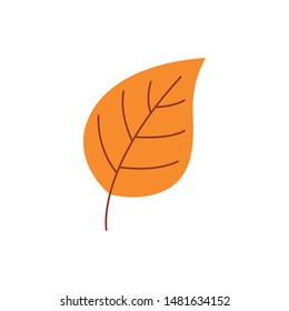 Orange red tree leaf isolated on white background.