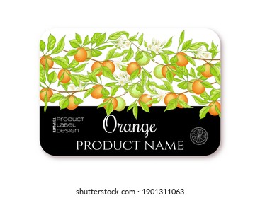 Orange. Ripe citrus. Template for product label, cosmetic packaging. Easy to edit. Graphic drawing, engraving style. Vector illustration.