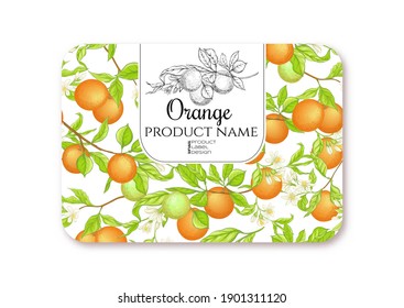 Orange. Ripe citrus. Template for product label, cosmetic packaging. Easy to edit. Graphic drawing, engraving style. Vector illustration.