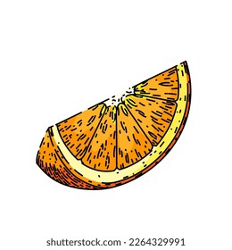 orange ripe hand drawn vector. fruit citrus, half juicy, organic slice cut, juice fresh, sweet vitamin, tropical background, piece orange ripe sketch. isolated color illustration