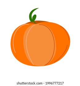 orangefarbener und reifer Kürbis auf weißem Hintergrund. Ein isoliertes Element.