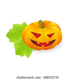 Orange ripe pumpkin on white background. vector illustration