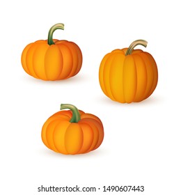 Orange ripe pumpkins set of various fresh autumn vegetables with stems isolated on white background. Cartoon vector illustration of fall agricultural crop for seasonal design.