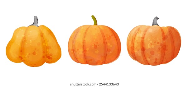 Orange ripe pumpkins. Vector watercolor set of vegetable illustrations