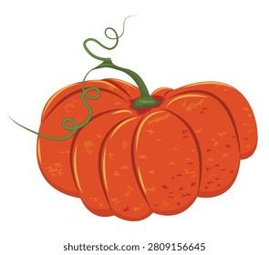 Orange, ripe, round-shaped pumpkin with green curly stem. Textured isolated vector. Healthy vegetable for Thanksgiving
