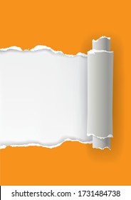 Orange Ripped Paper Rolled Up, Banner Template. 
Illustration Of Orange Torn Paper With Place For Your Image Or Text. Vector Available