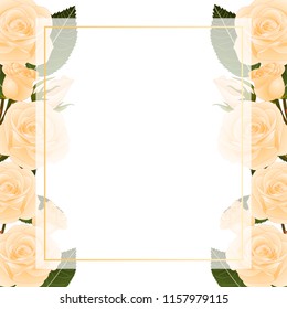 Orange Rose Flower Frame Banner Card Border. isolated on White Background. Vector Illustration.