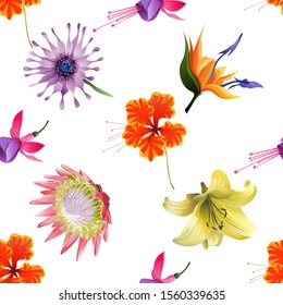 Orange Rose Mallow. Pink and Purple Fuchsia Bella. Purple Osteospermum Daisybush. Orange Strelitzia. Pink Protea. Yellow Lilium. Vector illustration. Seamless background pattern. Floral botanical.