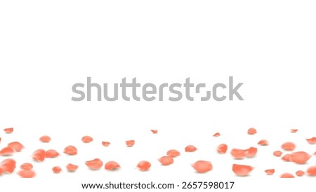 Orange rose petals gently falling and scattered across a transparent background. celebration