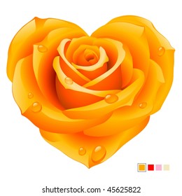 Orange rose in the shape of heart