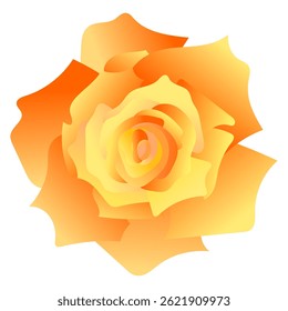 Orange rose vector illustration for cheerful design