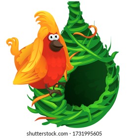 An orange round bird sits on a nest made of green grass isolated on white background. Vector cartoon close-up illustration.