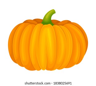 Orange Round Pumpkin with Smooth, Slightly Ribbed Skin Vector Illustration