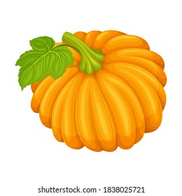 Calabaza redonda de naranja con una iluminación de vectores de piel lisa y levemente con cinta adhesiva