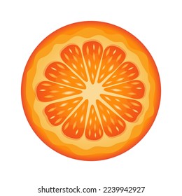 Orange round slice. Half an orange. Juicy fruit isolated on white background. 