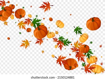 Orange Rowan Background Transparent Vector. Colorful Cute Banner. Red Gourd Pumpkins Illustration. Leaves Holiday. Food Set.