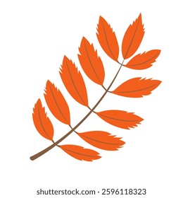 Orange rowan leaf isolated flat style