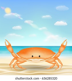 orange sea crab on a sea sand beach