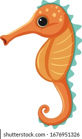 Orange seahorse on white background illustration