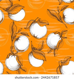 Orange seamless pattern. Hand drawn fruit background. Engraved style. Vintage citrus illustration.