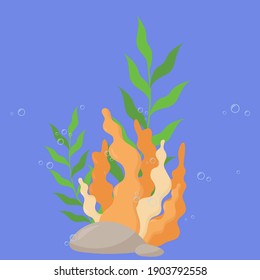 Orangefarbene Algen, Vektorgrafik auf weißem Hintergrund.