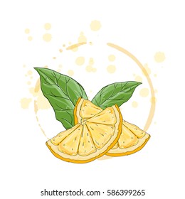 Orange segment isolated on a white background. Vector illustration.