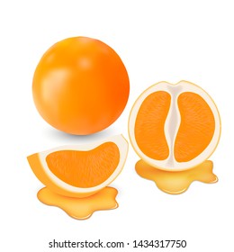 orange and segments on white background