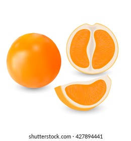 orange and segments on white background