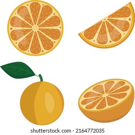 Orange. Set of chained oranges in section