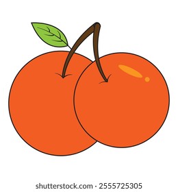 Orange set  design vector art and illustration . Orange vector with white background. 