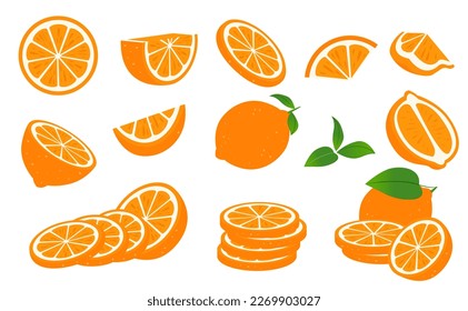 Orange. Set of fresh, cut slice orange fruit. Vector illustration