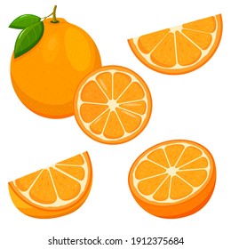 Orange. Set of fresh whole, half, cut slice orange fruit isolated on white background. Tangerine. Organic fruit. Flat style. Vector illustration for any design.